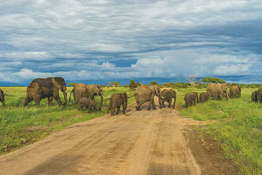 The most romantic things you can do on a safari honeymoon